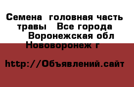 Семена (головная часть))) травы - Все города  »    . Воронежская обл.,Нововоронеж г.